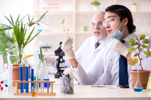 Dos químicos trabajando en el laboratorio —  Fotos de Stock