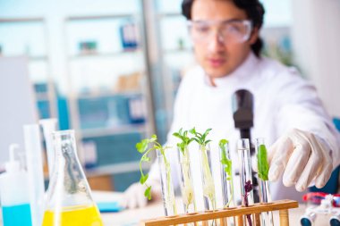 Laboratuarda çalışan erkek biyoteknoloji bilim adamı kimyacı