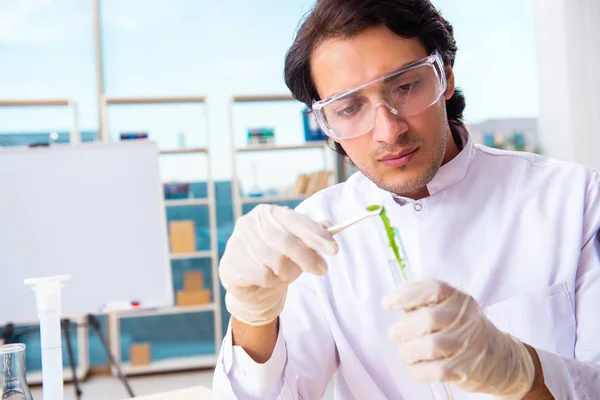 Biotecnologia maschile scienziato chimico che lavora in laboratorio — Foto Stock