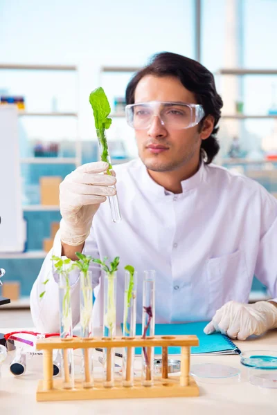 Male biotechnology scientist chemist working in the lab — Stock Photo, Image