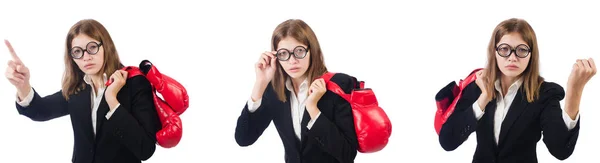 Funny mujer empleado boxeador aislado en blanco — Foto de Stock