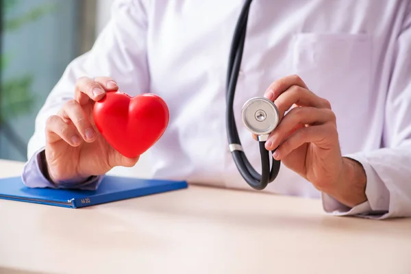 Lekarz kardiolog gospodarstwa serca modelu — Zdjęcie stockowe