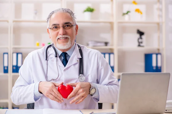 Пожилой врач-кардиолог с моделью сердца — стоковое фото
