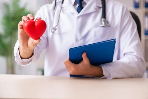 Male doctor cardiologist holding heart model — Stock Photo, Image