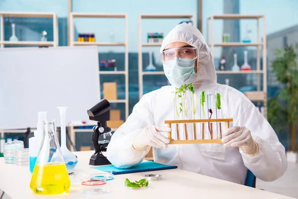 Hombre biotecnológico científico químico que trabaja en el laboratorio —  Fotos de Stock