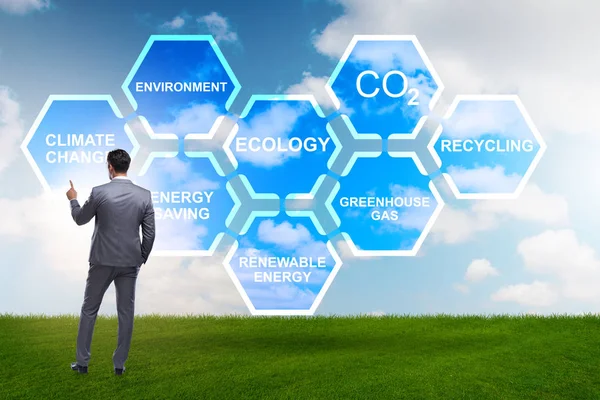 Businessman in ecology and environment concept — Stock Photo, Image