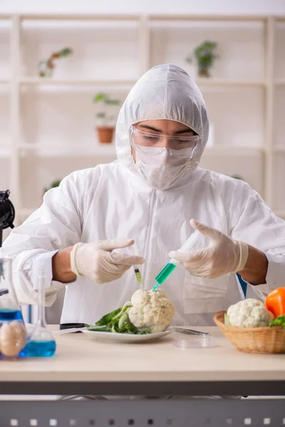 在GMO水果和蔬菜实验室工作的科学家 — 图库照片