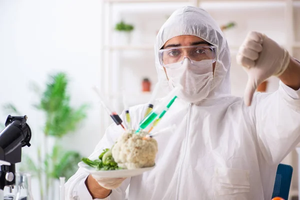 Scienziato che lavora in laboratorio sugli OGM frutta e verdura — Foto Stock