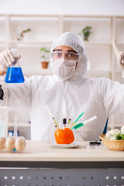 Wetenschapper in lab over GGO-groenten en -fruit — Stockfoto