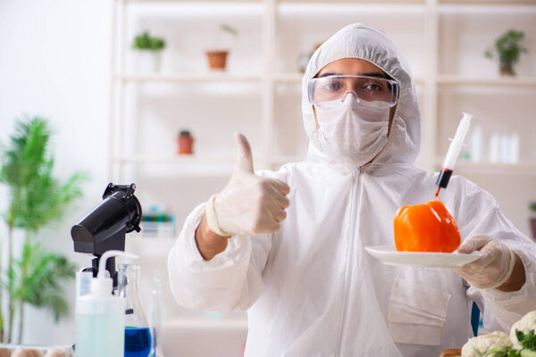 Ученый, работающий в лаборатории по ГМО фрукты и овощи