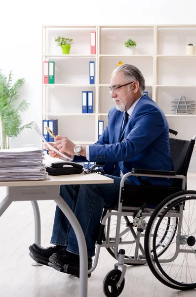 사무실에서 일하는 휠체어에 앉아 일하는 나이든 직원 — 스톡 사진