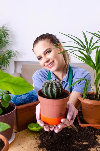 Jovem jardineiro feminino com plantas dentro de casa — Fotografia de Stock