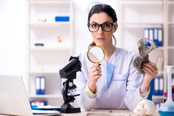 Laboratuvarda çalışan genç bir kadın arkeolog. — Stok fotoğraf