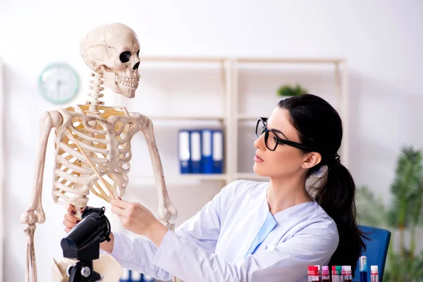 Jonge vrouwelijke archeoloog werkzaam in het lab — Stockfoto