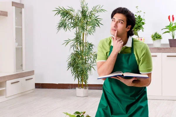 Jonge mannelijke tuinman met planten binnen — Stockfoto