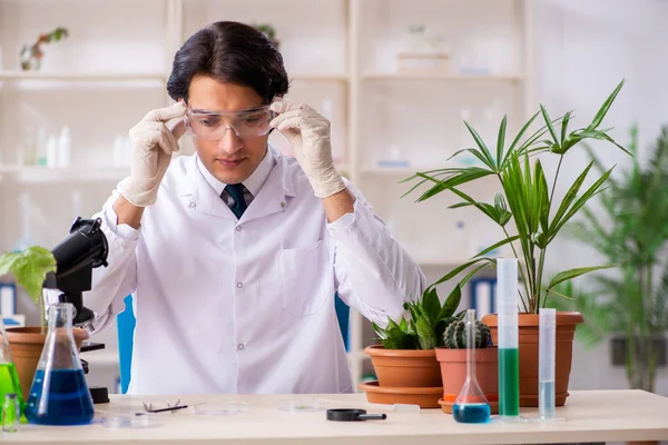 Bioteknik kemist arbetar i lab — Stockfoto