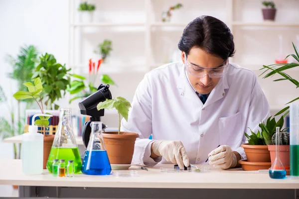 Químico biotecnológico trabajando en laboratorio —  Fotos de Stock