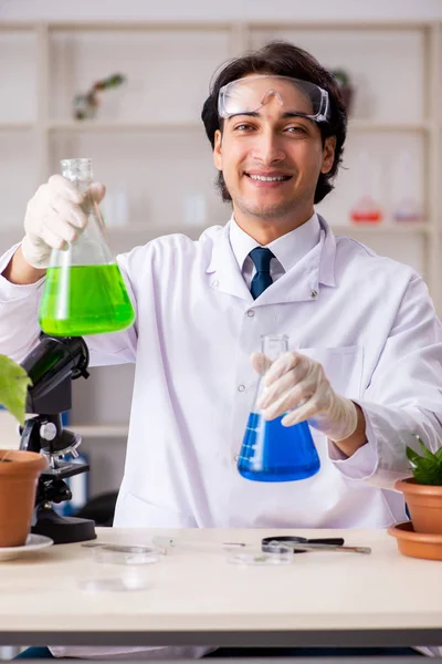 Chimico biotecnologico che lavora in laboratorio — Foto Stock