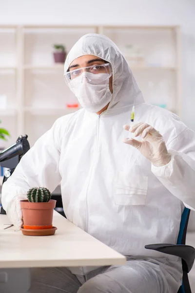 Químico biotecnológico trabajando en laboratorio — Foto de Stock