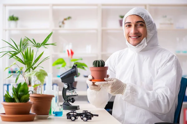 Bioteknik kemist arbetar i lab — Stockfoto