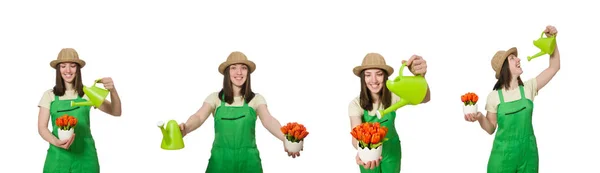 Girl watering plants on white — Stock Photo, Image