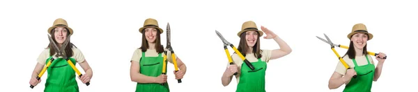 Young woman with shears on white — Stock Photo, Image