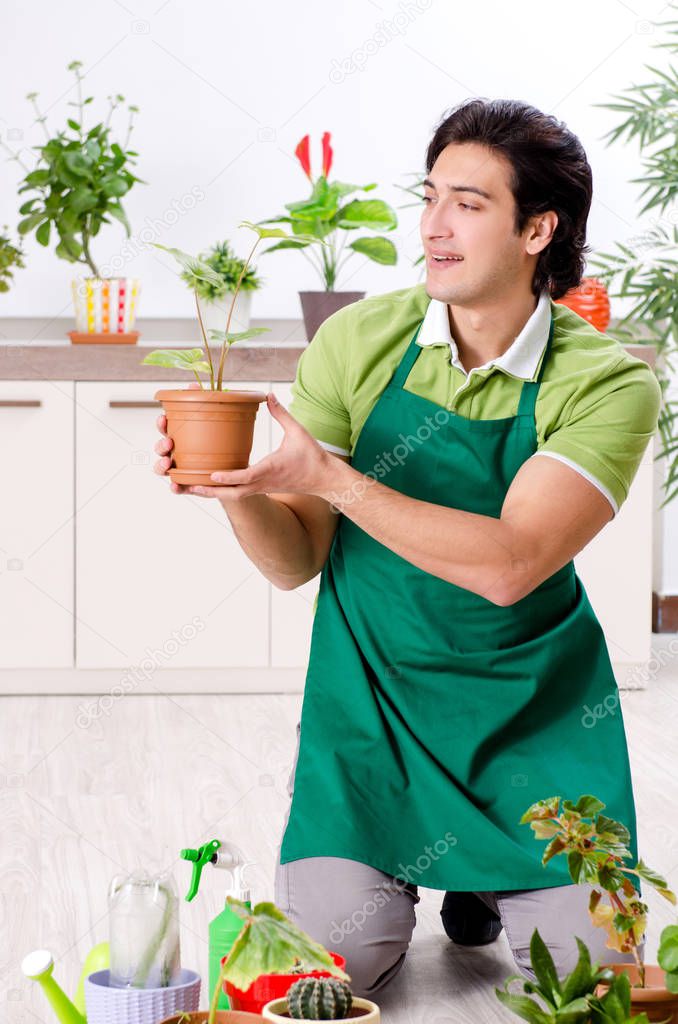 ������� �������� � ����������