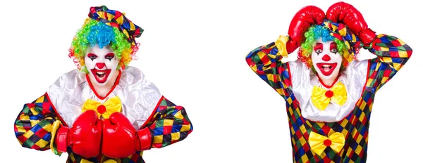 Zabawny clown mężczyzna z rękawice bokserskie — Zdjęcie stockowe