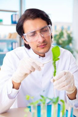 Laboratuarda çalışan erkek biyoteknoloji bilim adamı kimyacı