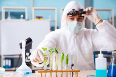 Laboratuarda çalışan erkek biyoteknoloji bilim adamı kimyacı