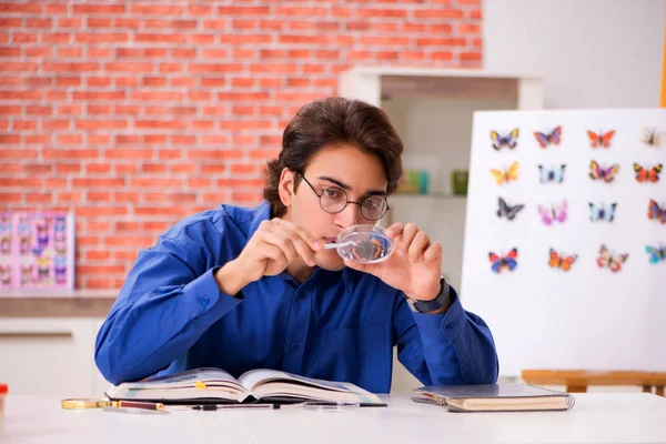 Student entomologist studying new species of butterflies — Stock Photo, Image