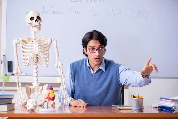 Молодий викладач викладання анатомії — стокове фото