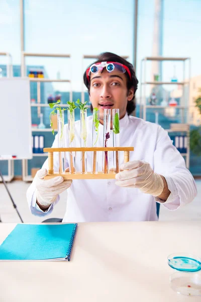 Male biotechnology scientist chemist working in the lab