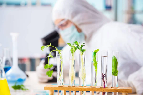 Male biotechnologiích vědec chemik pracující v laboratoři — Stock fotografie