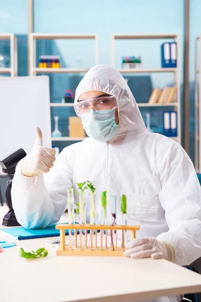 Mannelijke biotechnologie wetenschapper chemicus werken in het lab — Stockfoto