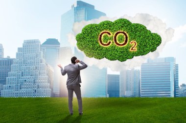 Sera gazı emisyonlarının ekolojik kavram