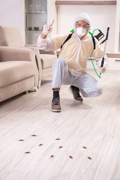 Ongediertebestrijding aannemer werkzaam in de flat — Stockfoto