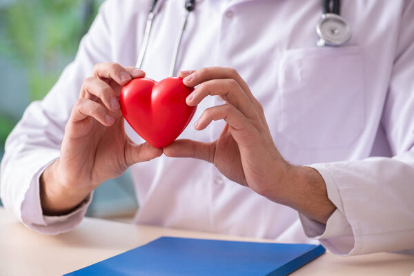 Мужчина-кардиолог держит модель сердца
 