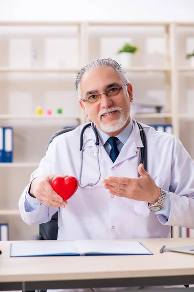 Ηλικίας αρσενικό ο γιατρός καρδιολόγος με καρδιά μοντέλο — Φωτογραφία Αρχείου