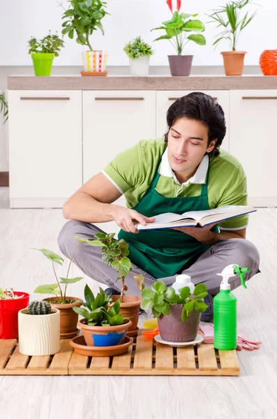 屋内に植物を持つ若い男性庭師 — ストック写真
