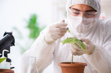 Laboratuarda çalışan biyoteknoloji kimyager