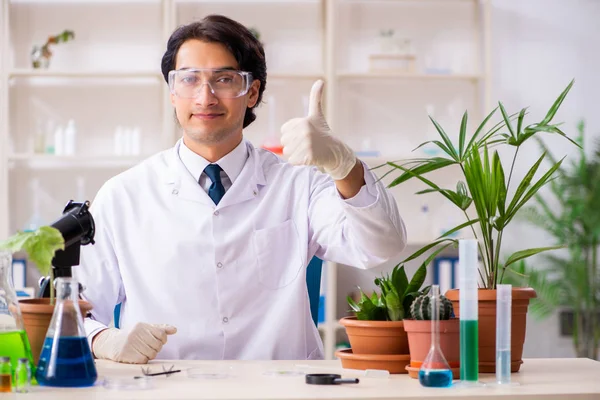 Bioteknik kemist arbetar i lab — Stockfoto