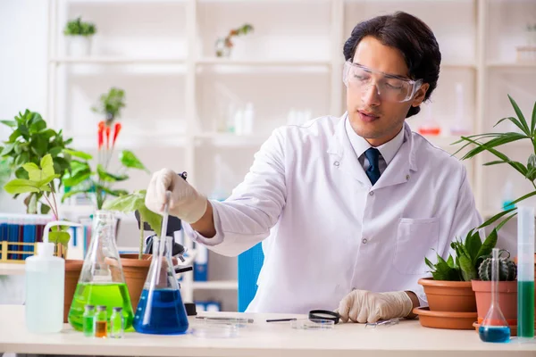Químico biotecnológico trabajando en laboratorio —  Fotos de Stock