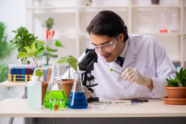 Chimiste en biotechnologie travaillant en laboratoire — Photo