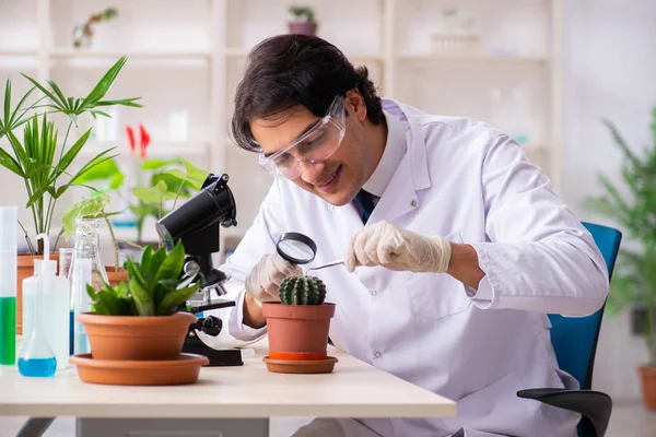 Químico biotecnológico trabajando en laboratorio — Foto de Stock