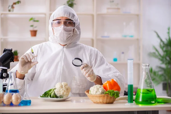 Científico trabajando en laboratorio sobre frutas y verduras transgénicas —  Fotos de Stock