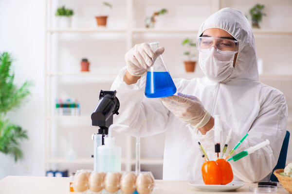 Ученый, работающий в лаборатории по ГМО фрукты и овощи