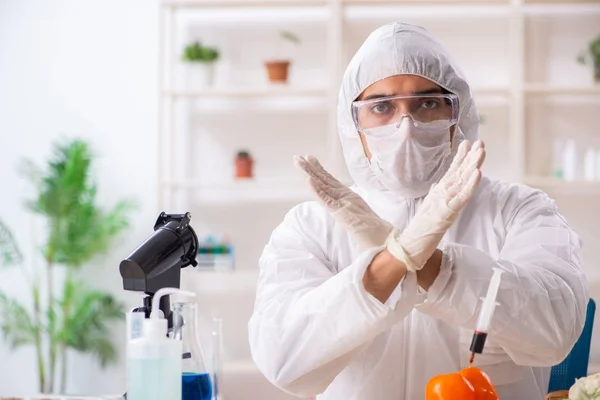 A GMO-gyümölcsök és -zöldségek laborjában dolgozó tudós — Stock Fotó