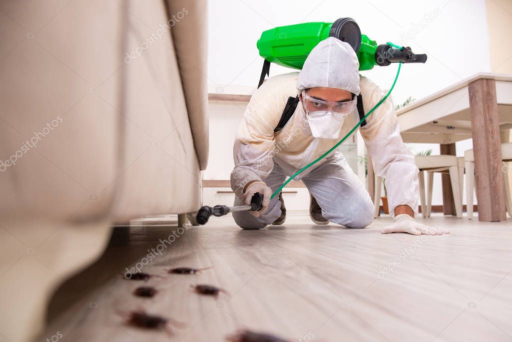 Pest control contractor working in the flat 