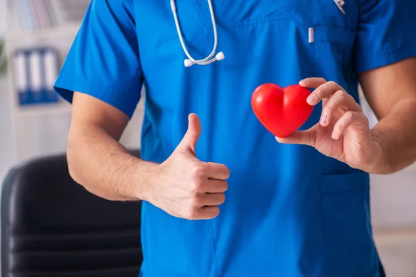 Médico cardiólogo masculino sosteniendo modelo de corazón —  Fotos de Stock